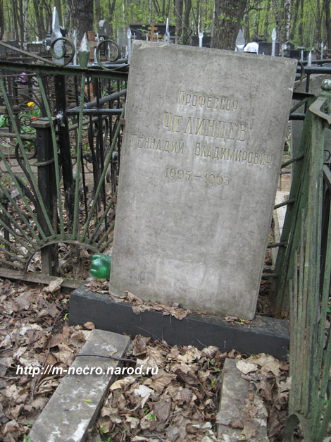 могила Г.В. Челинцева, фото Двамала, 2010 г.